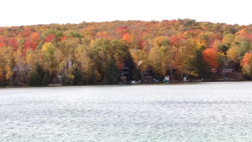 קלקסקה Log Cottage On Blue Lake מראה חיצוני תמונה